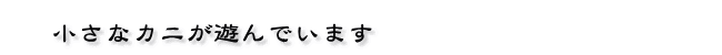 ȃJjVł܂B